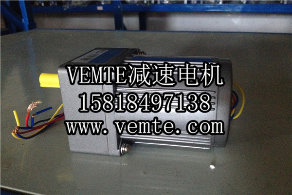 小電機(jī)，小型調(diào)速電機(jī),微型減速電機(jī) (2)