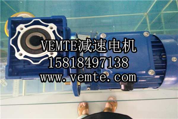 蝸輪減速機，渦輪減速機,RV減速電機 (2)